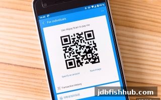 深度解析JDB捕鱼试玩：ERC20出款审核时长与微信充值全攻略