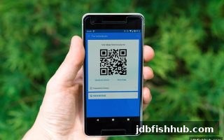 USDT出款攻略与让球盘策略：jdb捕鱼试玩带你玩转资金管理