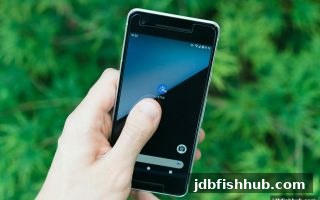 jdb捕鱼试玩充值到账全攻略：审核流程、影响因素与加速技巧