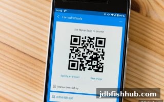 jdb捕鱼试玩提现延迟全攻略：从原因排查到高效解决，助你快速到账