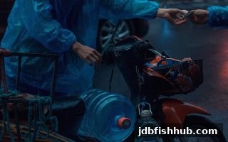 jdb捕鱼试玩 | 五龙争霸USDT充值审核资料全攻略：轻松通过审核的必备清单