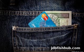 jdb捕鱼试玩充值到账延迟？全面排查指南与高效解决策略