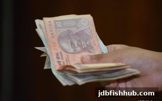 jdb捕鱼试玩USDT充值指南：选对网络、安全入金，畅享打鱼机乐趣