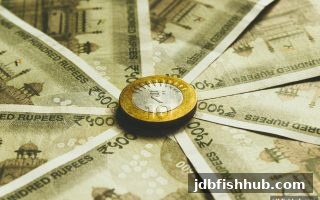 北京赛车充值延迟怎么办？jdb捕鱼试玩揭秘六大元凶与高效解法