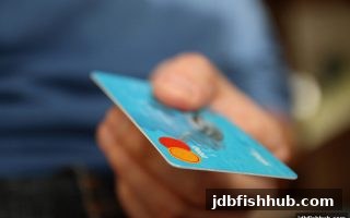 jdb捕鱼试玩充值未到账？别急，这份全流程排查手册帮你搞定
