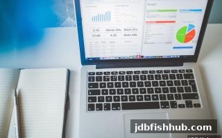 jdb捕鱼试玩深度解析：桌游策略数据如何成为推广王牌