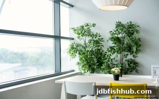 掌握牌面观察技巧与推荐奖金：jdb捕鱼试玩助你提升互动效率