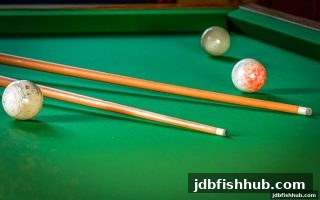 新葡京桌游全解析：种类、玩法与jdb捕鱼试玩的跨界乐趣
