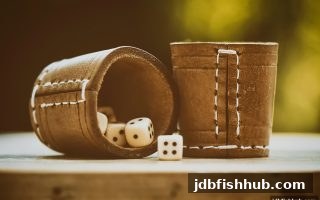 jdb捕鱼试玩告诉你：冷号与热号的规律解析及欧洲杯直播场景应用