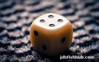 jdb捕鱼试玩视角下的极速赛车投注技巧与实战策略全解析