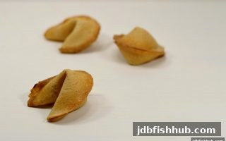 数字彩种深度对比：jdb捕鱼试玩带你剖析快乐十分、双色球与快乐8的玩法精髓