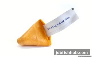 探索数字娱乐：PG老虎机与福彩3D玩法对比，jdb捕鱼试玩带来全新体验