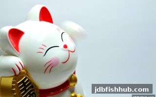 六合彩玩法全攻略：jdb捕鱼试玩带你掌握开奖机制与选号技巧