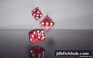 jdb捕鱼试玩平台大乐透全攻略：从规则到策略的实用指南