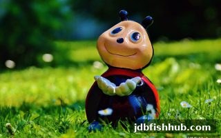jdb捕鱼试玩视角下的双色球推荐号码：从数据逻辑到理性参与全解析