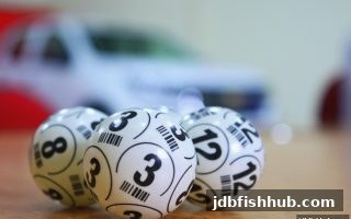 胆拖投注策略完整指南：从基础逻辑到jdb捕鱼试玩的实战应用