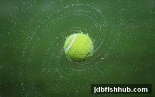 探秘差值与和值：jdb捕鱼试玩助你洞悉竞猜核心