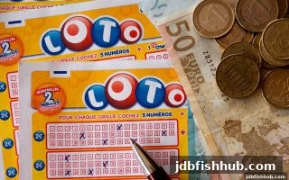 jdb捕鱼试玩深度解析：彩票龙虎斗的玩法、概率与实战技巧
