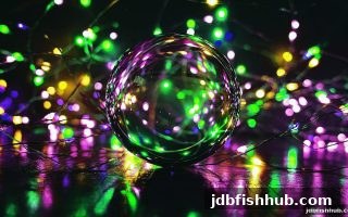jdb捕鱼试玩视角下的彩票投注：概率逻辑、扑克策略与理性娱乐指南