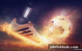 jdb捕鱼试玩揭秘：彩票复式玩法全攻略，从原理到实战