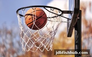 jdb捕鱼试玩带你玩转彩票冷热号：概念解析与实战策略