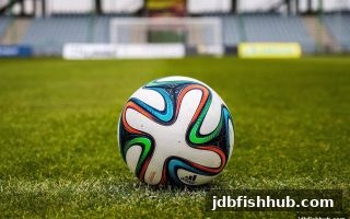 深入解析jdb捕鱼试玩与Pragmatic电子游戏机制：概率、策略与理性选择