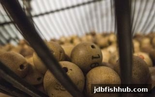 jdb捕鱼试玩视角下的追热号和冷号策略：从概率到合规的深度解析