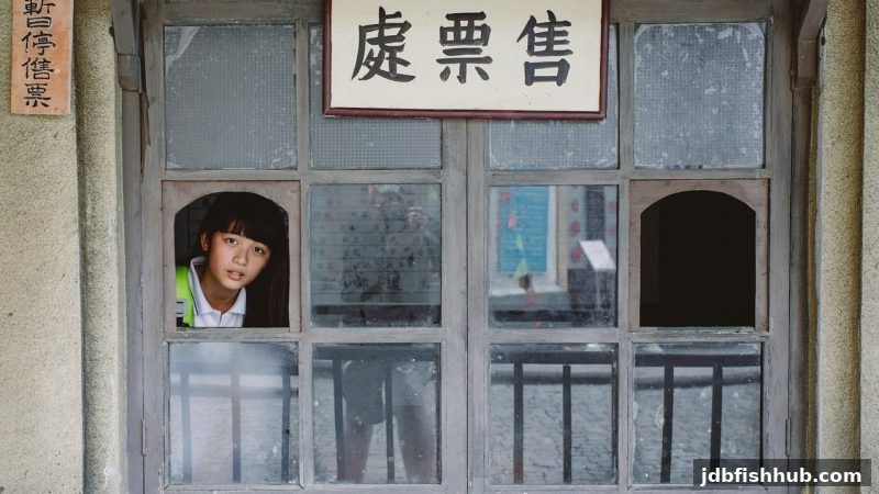 从彩票趣闻到jdb捕鱼试玩：民间传说与文化探秘之旅