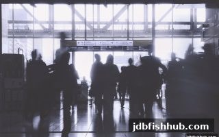 jdb捕鱼试玩解析：欧冠直播数字游戏的数学概率与理性参与指南