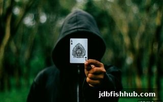 深度解析：jdb捕鱼试玩中RTG电子游戏胜率计算的正确打开方式
