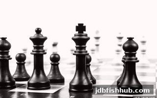 棋牌平台稳定收益之路：从jdb捕鱼试玩到深度体验反馈