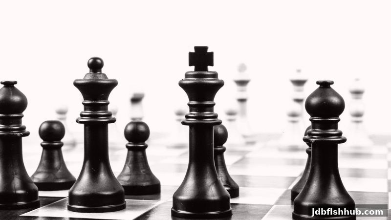 棋牌平台稳定收益之路：从jdb捕鱼试玩到深度体验反馈