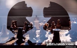 从入门到进阶：jdb捕鱼试玩教你破解围棋思维困局与策略布局