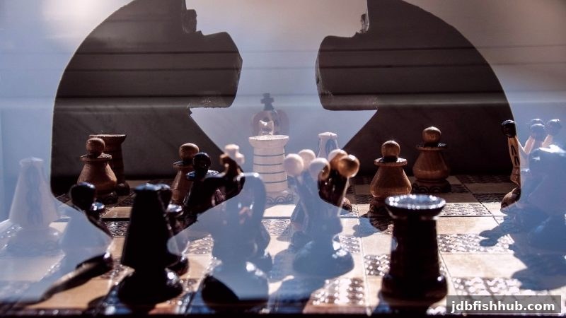 从入门到进阶：jdb捕鱼试玩教你破解围棋思维困局与策略布局