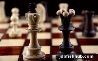 电子围棋进阶指南：jdb捕鱼试玩教你的概率与决策之道