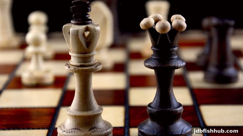 电子围棋进阶指南：jdb捕鱼试玩教你的概率与决策之道