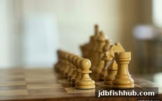 桥牌入门全攻略：从零基础到实战技巧，jdb捕鱼试玩玩家也能轻松上手