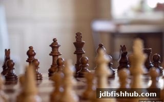 双色球桥牌全攻略：jdb捕鱼试玩带你解锁数字牌局新体验