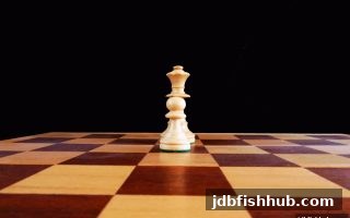 桥牌竞技与团队协作深度解析：jdb捕鱼试玩带你领略智力运动的魅力