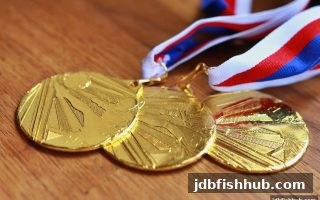 jdb捕鱼试玩：VIP返现策略与路单技巧深度解析
