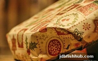 jdb捕鱼试玩每日签到现金返利全攻略：获取机制、安全性及理性参与指南