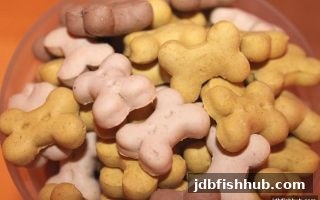 新手签到红包全解析：jdb捕鱼试玩平台专属福利领取指南