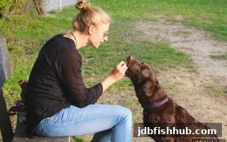 jdb捕鱼试玩平台返水奖励高效申领指南