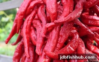 jdb捕鱼试玩老用户签到福利深度揭秘：每日打卡如何赢取海量资源