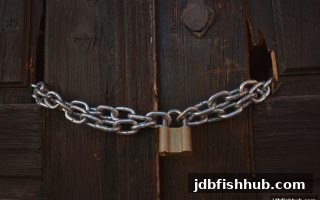 水果机在线娱乐玩法与法律风险全解析：jdb捕鱼试玩带你洞察合规边界