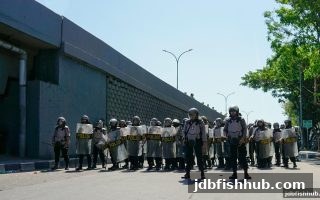 jdb捕鱼试玩权威解析：四大棋牌平台资金陷阱案例与避险全攻略