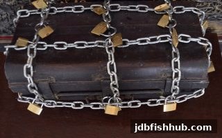 双色球玩家必看：合法渠道与黑平台鉴别，jdb捕鱼试玩经验分享