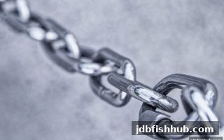 jdb捕鱼试玩出款指南：深度解析资金到账的常见关卡与应对技巧