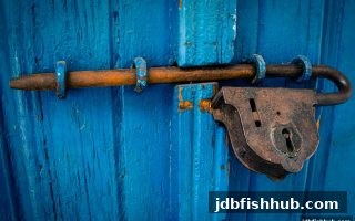 二十一点提款流程深度解析：来自jdb捕鱼试玩用户的实战指南