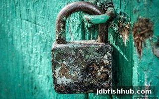 从PokerStars到jdb捕鱼试玩：网络娱乐风险防控全攻略